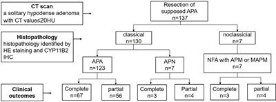 Surgical Outcomes of Aldosterone-Producing Adenoma on the Basis of the Histopathological Findings